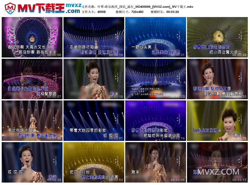 叶翠-欢乐海洋_国语_流行_MD400699